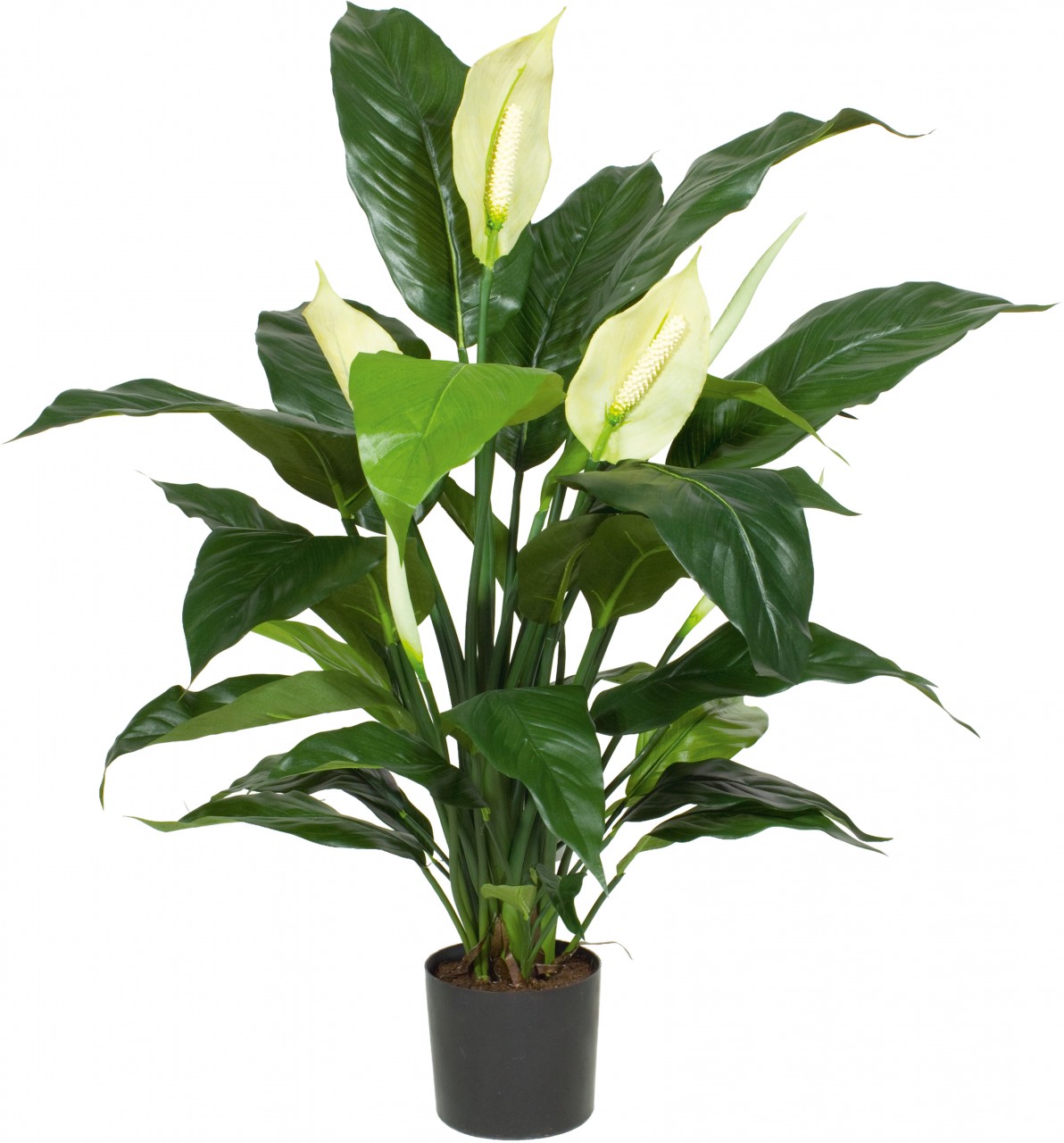 SPATHIPHYLLUM DELUXE Kunstpflanze, 50 cm