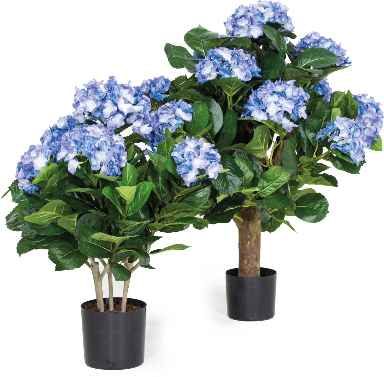 HORTENSIE Kunstpflanze, 53 cm, creme