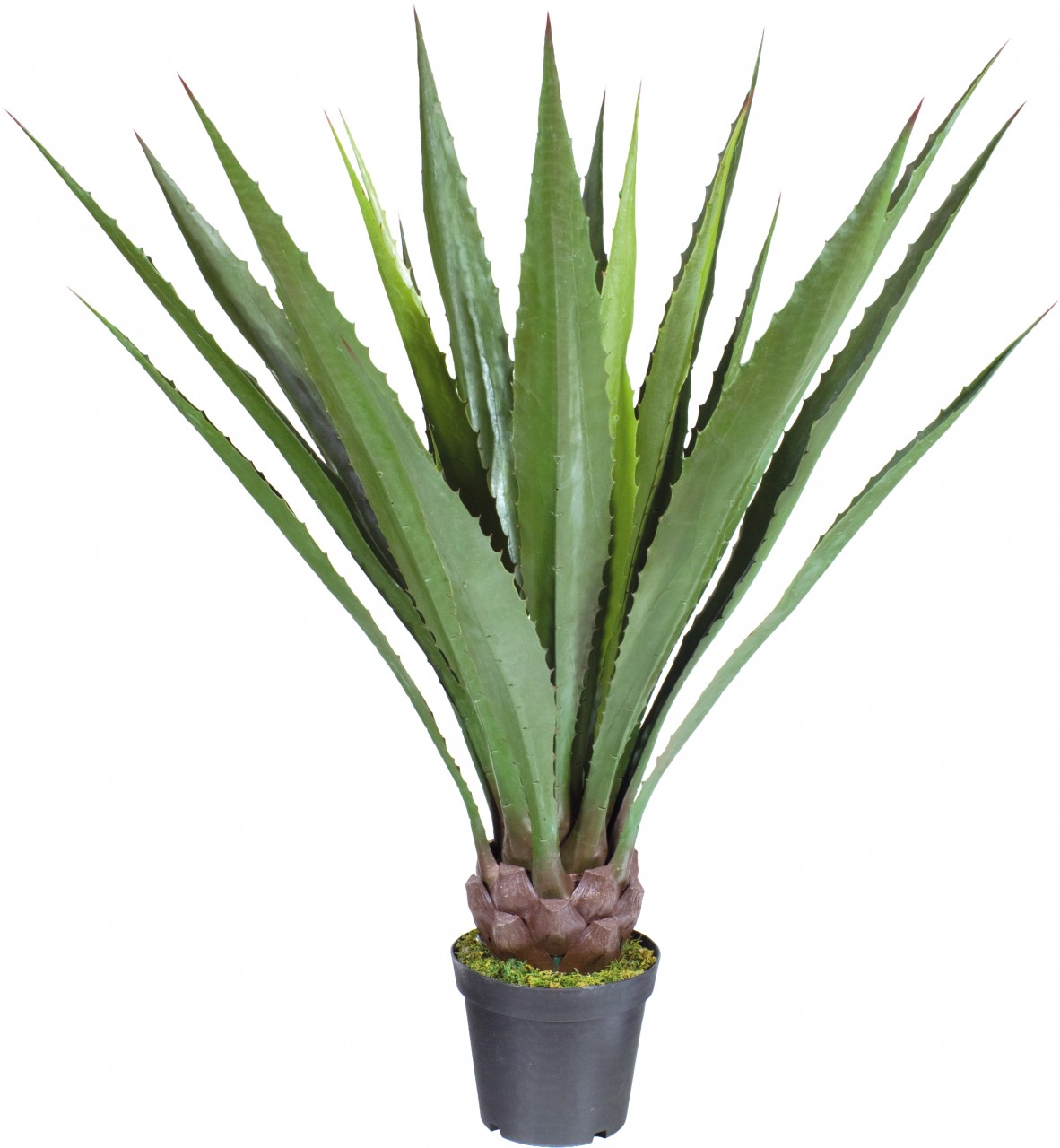 AGAVE DELUXE Kunstpflanze, 120 cm
