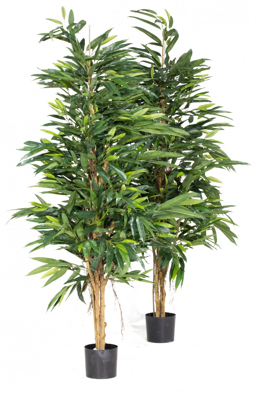 LONGIFOLIA ROYAL NATURAL Kunstpflanze, 150 cm