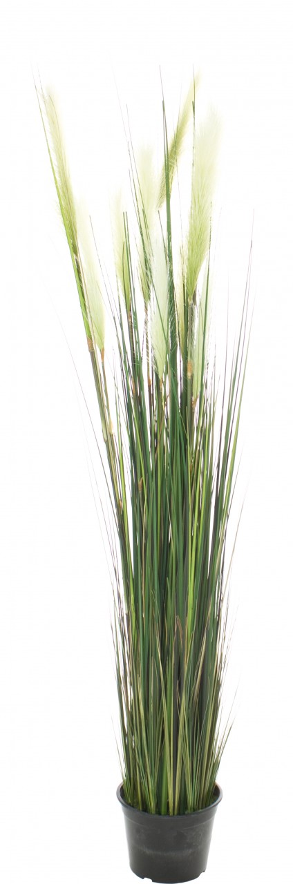 ROHRKOLBEN (TYPHA) Kunstpflanze, 183 cm